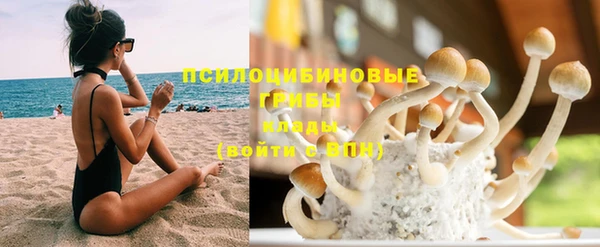 прущая мука Магас